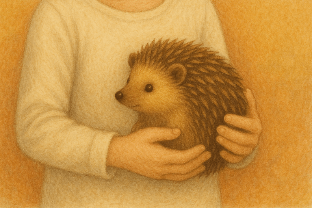 사람이 조심스럽게 고슴도치를 안고 있는 따뜻한 장면